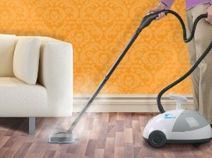 Steammax Steam Cleaner In Action